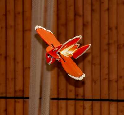 Saalflugtag 2025 b46